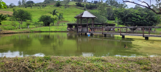 Chcara para Venda