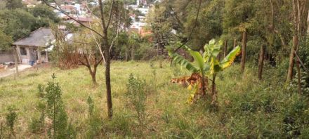 Terreno para Venda