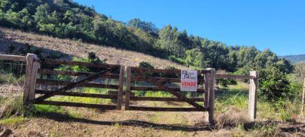 Chcara para Venda